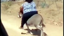 That Donkey Said: "I'm Done!" 📉😂