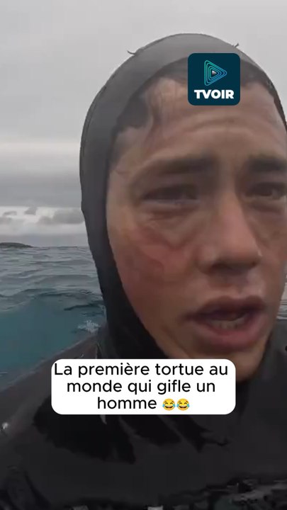Et elle part comme si de rien n’était 😂🐢