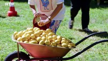 Taskmaster PT - T7E08