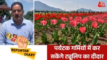कश्मीर: अब गर्मियों में भी खिलेंगे ट्यूलिप, जानें क्या है ये खास मुहिम