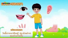 อวัยวะของเรา