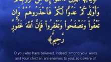 سورة التغابن | آيات 14-18 | Surah At-Taghabun 64:14-18 | تلاوة خاشعة تملأ القلب خشية