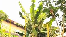 Money Fell From Sky Then This Happened 😱 Desi Parkour | पापों का हिसाब