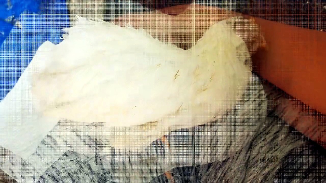 Lap time is nap time! | #SparklegleamFarm #Chicken #farm #farmanimals #cute