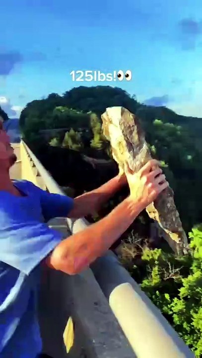 A satisfying moment of throwing stones / Oddly Satisfying