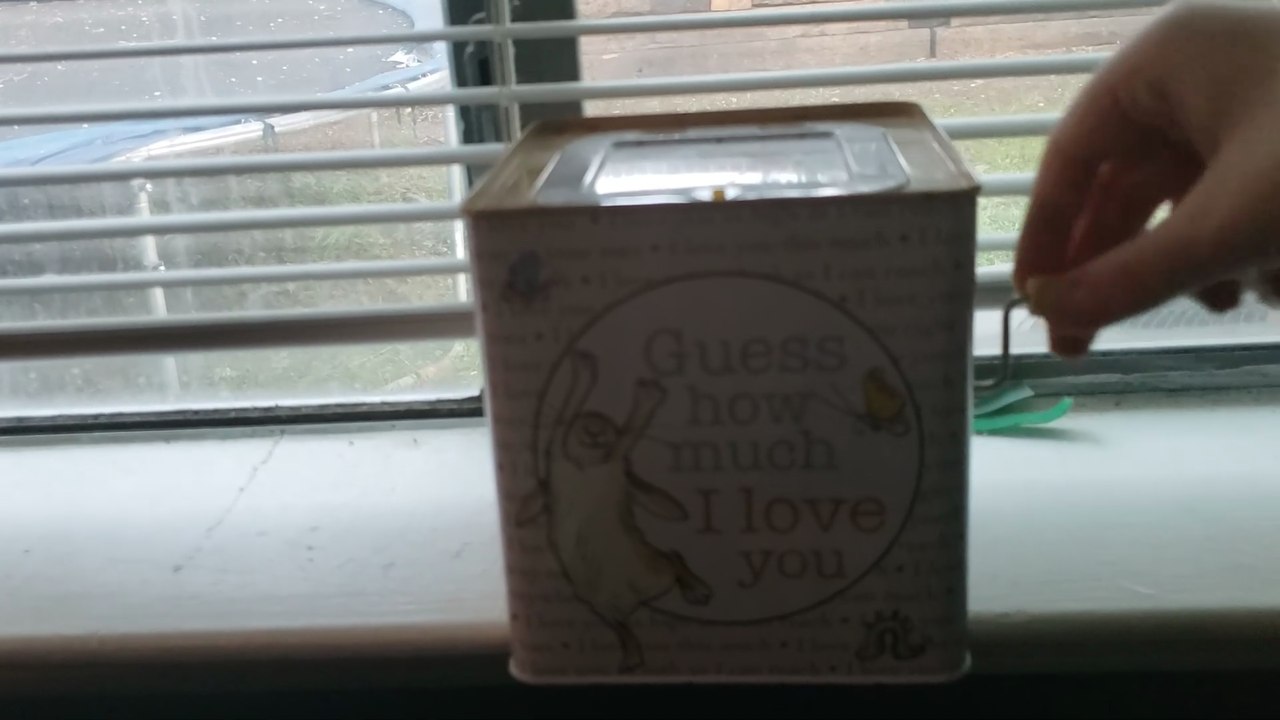 Jack In The Box With a Bunny!!! 2nd Version
