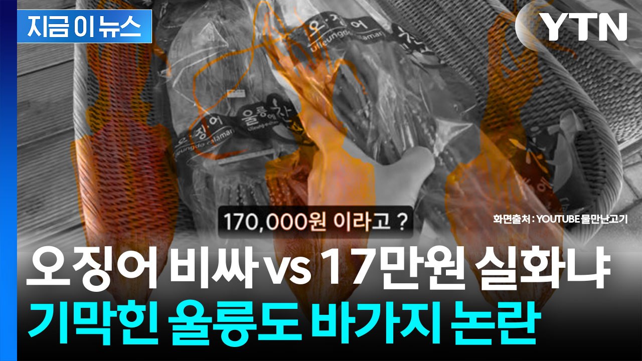 '정신 못 차린 가격?'...울릉도 이번엔 17만 원 마른오징어 논란 [지금이뉴스]...