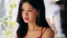 serving the wrong sister chinese drama
