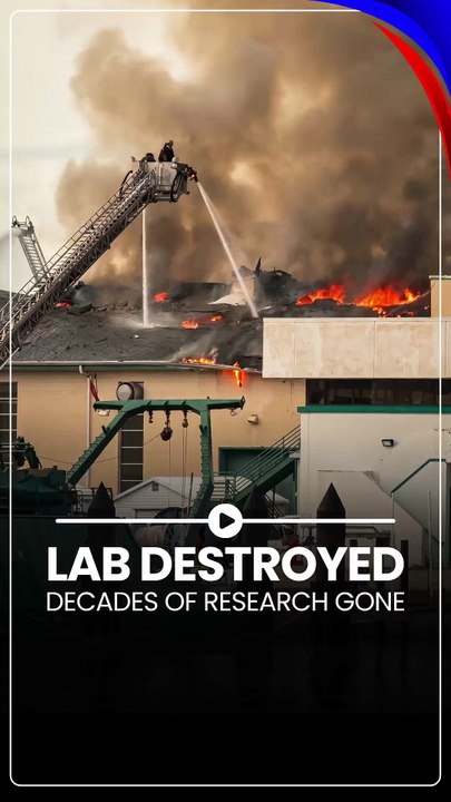 🚨 MASSIVE Fire DESTROYS USF Marine Lab! 🔥