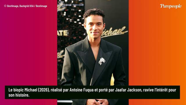 Michael Jackson : voici ce que devient Bubbles, son chimpanzé âgé de 46 ans