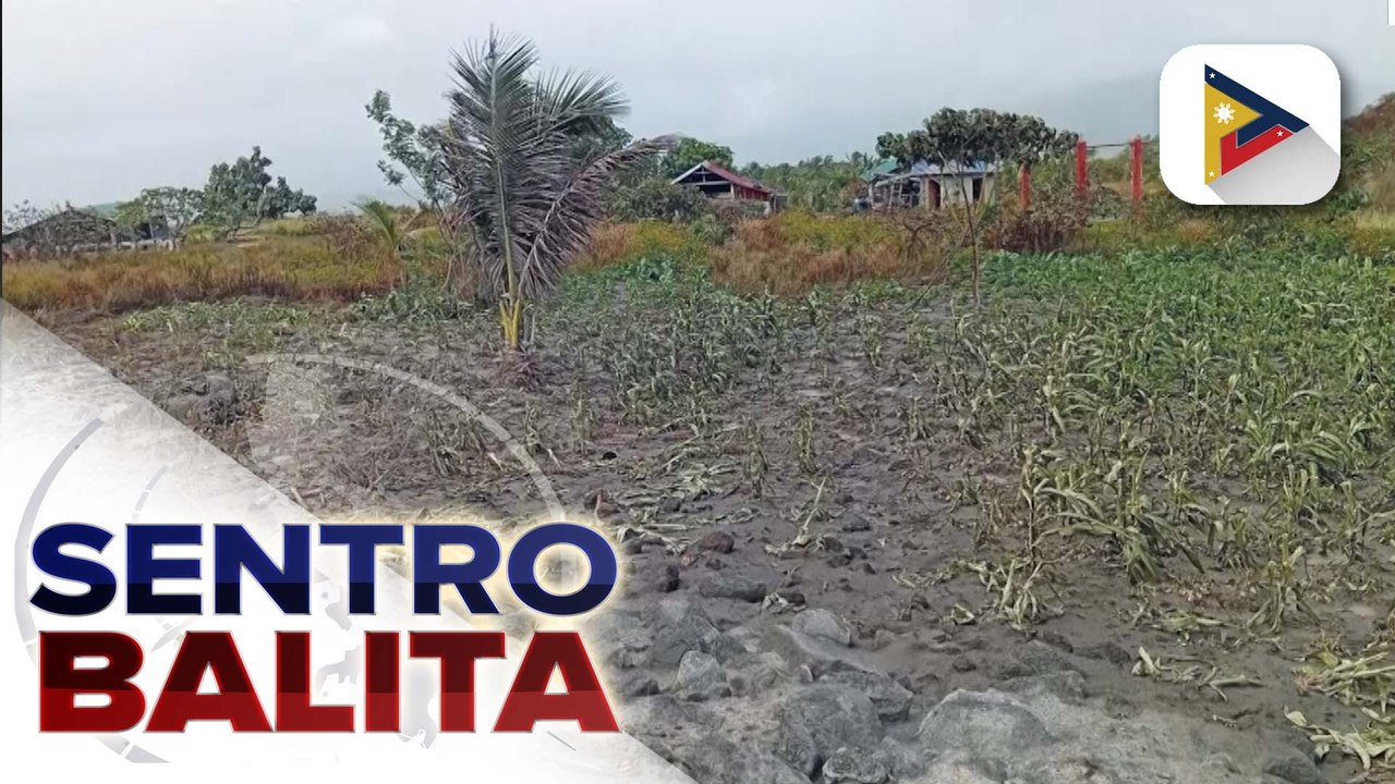 Ilang taniman at mga livestock, apektado ng ashfall; D.A., agad na umaksyon para maibsan ang epekto sa sektor ng agrikultura | ulat ni Dianna Mendez - Radyo Pilipinas- Albay
