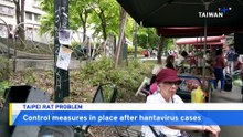 Taipei Confronts Rising Rat Problem After Hantavirus Cases