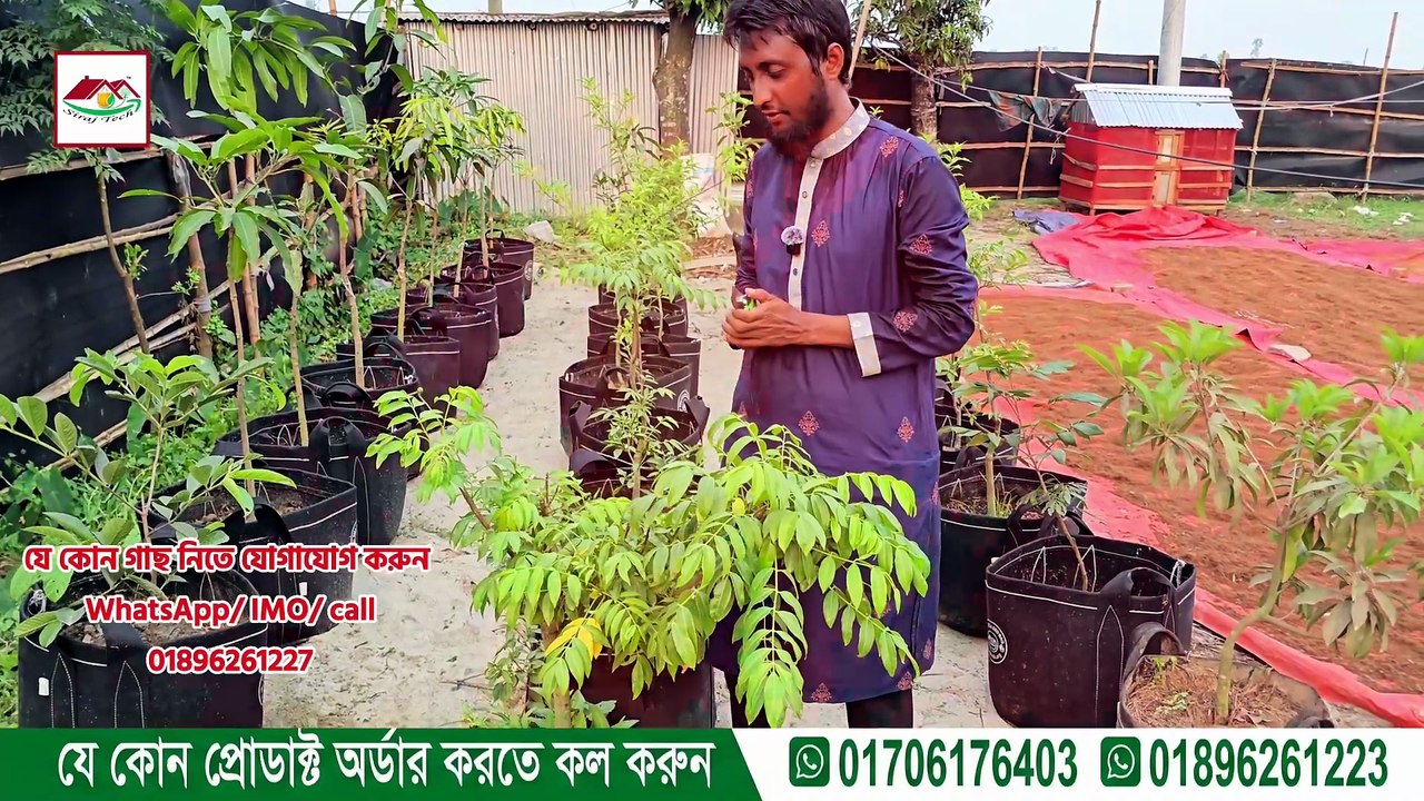 গাছ, সার, টুলস—ছাদ বাগানের যা যা দরকার সবকিছু এখন পেয়ে যাবেন আমাদের কাছেই