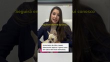 Cachorrinha que ingeriu crack recebe alta da UTI e será adotada por PM que fez o resgate #shorts