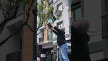 Betonların Arasında Doğa: Arılar Şehri Mesken Tuttu