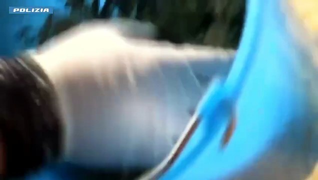 Il video della coltivazione indoor di 42 piante di marijuana a casa scoperta dalla polizia a Catania
