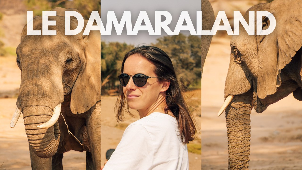 À LA RENCONTRE DES ÉLÉPHANTS DU DÉSERT | Voyage de noces en Namibie 💍🇳🇦