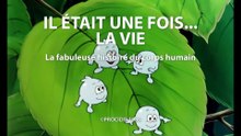 Il était une fois... la Vie - 03 - Les sentinelles du corps - HD 1080
