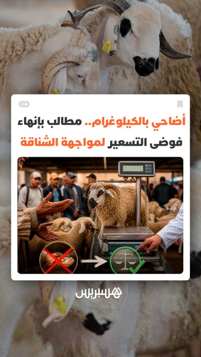 أضاحي بالكيلوغرام بدل التقدير الشخصي.. مطالب بإنهاء فوضى التسعير لمواجهة الشناقة
