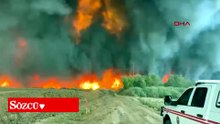 ABD’nin Arizona eyaletinde yangın; 2 bin 200 dönüm alan küle döndü