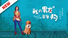 My Boyfriend is A DogDetective - FULL EPISODE ReelCraft