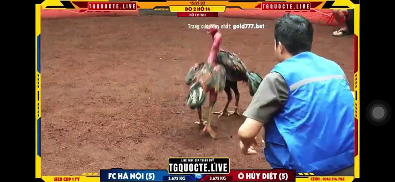 Ô huỷ diệt vs Tía gia lai hồ 14