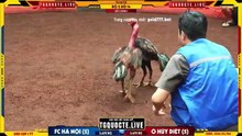 Ô huỷ diệt vs Tía gia lai hồ 14