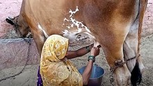 ज़िन्दगी बर्बाद करके क्या मिल रहा है_ __ आचार्य प्रशांत