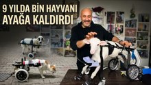 Demir ustası felçli canlara 'umut' oluyor : 9 yılda bin hayvanı ayağa kaldırdı