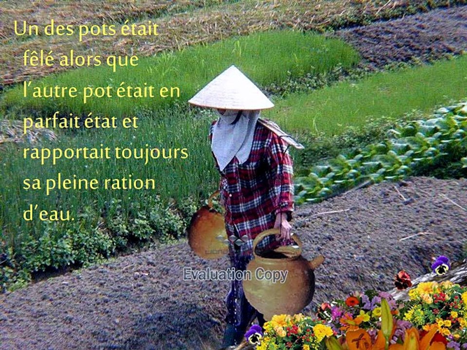 "Conte du pot chinois"