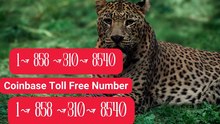 【Coinbase® ||Help Desk Wallet SuppoRt||™ — Toll-Free Numbers & Support Options (OfficiAl)