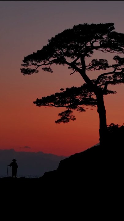 Vue sur le Mont-Fuji depuis Kamakura