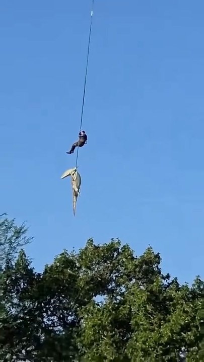 Human remains found in crocodile