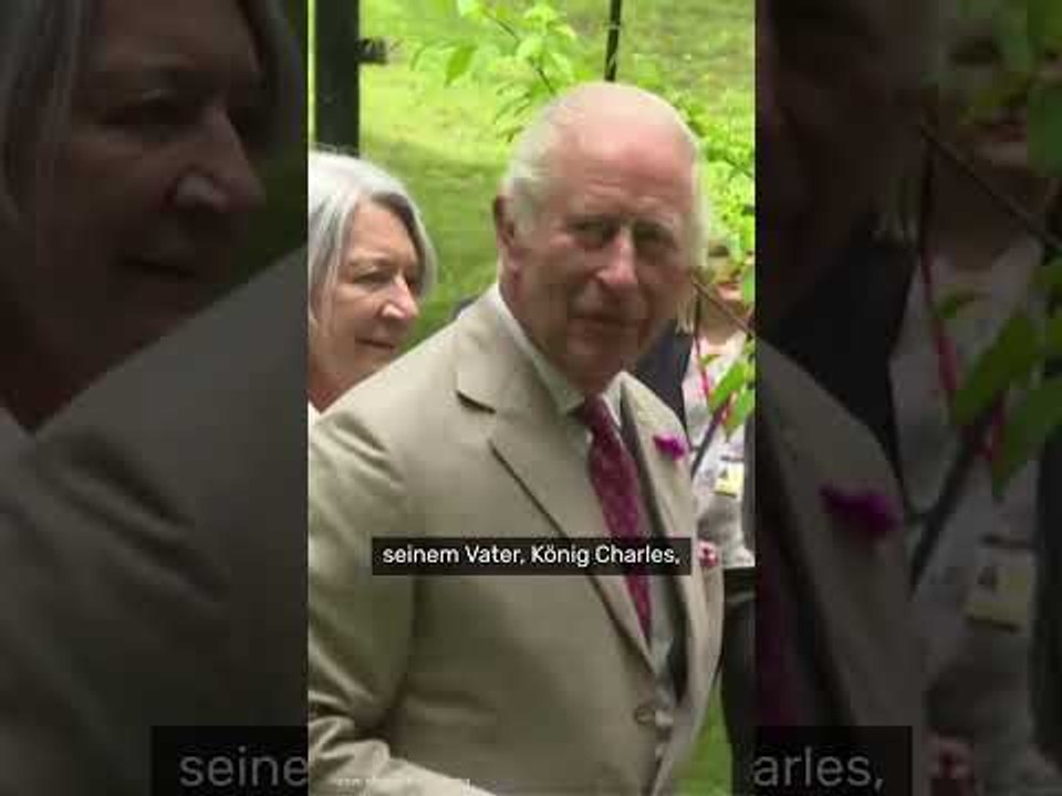Prinz Harry: 'Außenseiter' im Palast - Isolation des Sussex-Herzogs spitzt sich zu
