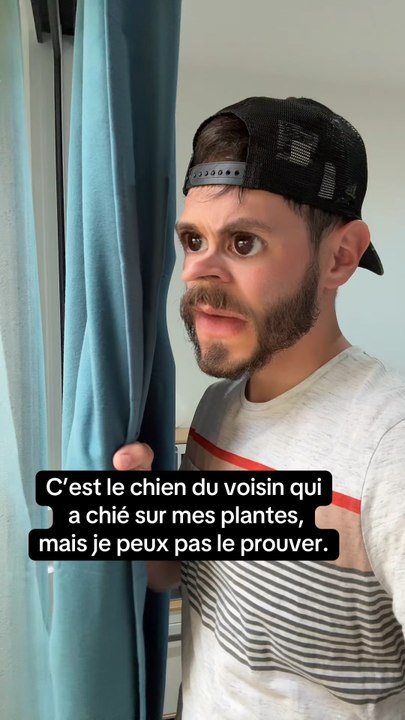 🐶💩 C’est le chien du voisin qui a chié sur mes plantes, mais je peux pas le prouver. #pov #trend #creatorinsight #ludo