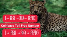 【\/%e%r%i%f%i%e%d】$[FULL GUIDE] C*oinbase® CUSTOMER© SUPPoRT℗ Phone NuMber (OfficiAl)
