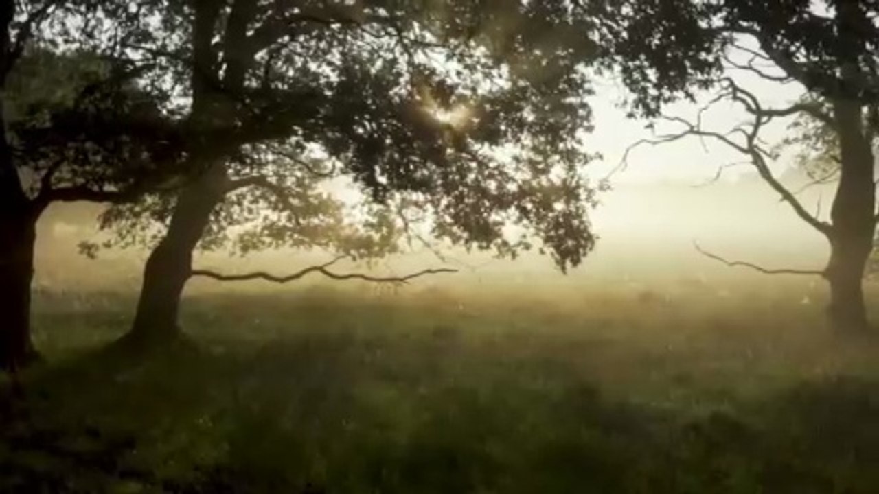 Self-Compassion Meditation  Malayalam