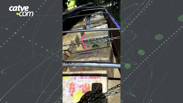 Mais de 2 toneladas de maconha são apreendidas em Céu Azul