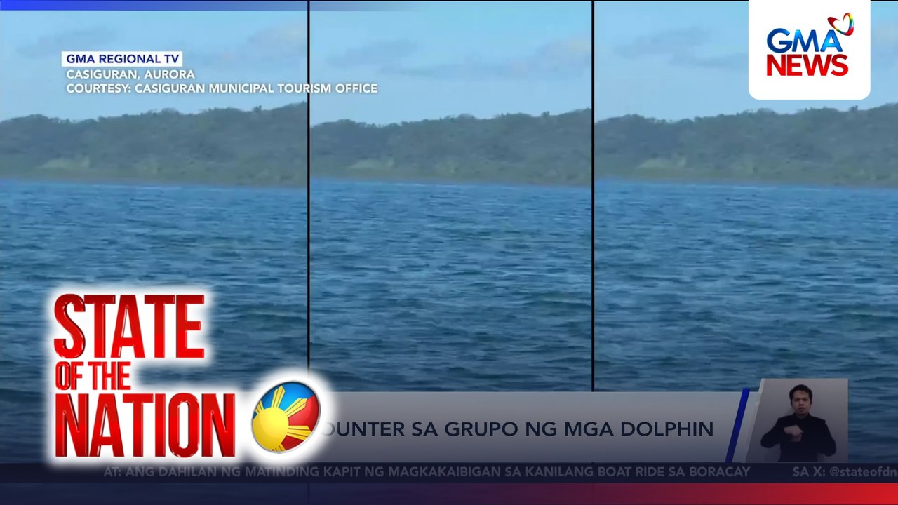 Organic encounter sa grupo ng mga dolphin | SONA