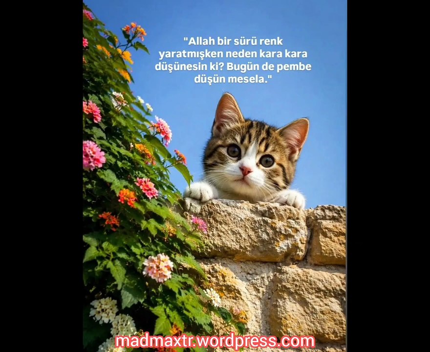 Aşk için, Sana Çekiliyorum Ya VEDUD