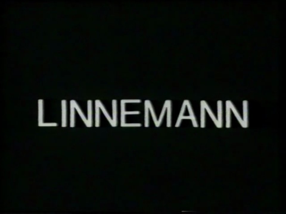 Linnemann / der Inframann und Der Störfall Film deutsch