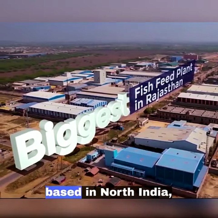 High Performance Fish Feed Pellets India | Happy Feeds