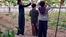 宋彧佳＆康讯 - 【末世种田粮满仓】 (下篇)
