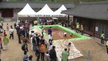 [경북] 5월 경북 곳곳 역사·문화·관광 축제 열려 / YTN