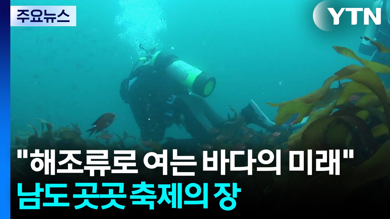 "해조류로 여는 바다의 미래"...남도 곳곳 축제의 장 / YTN