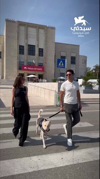 نجوم فيلم البحث عن منفذ لخروج السيد رامبو