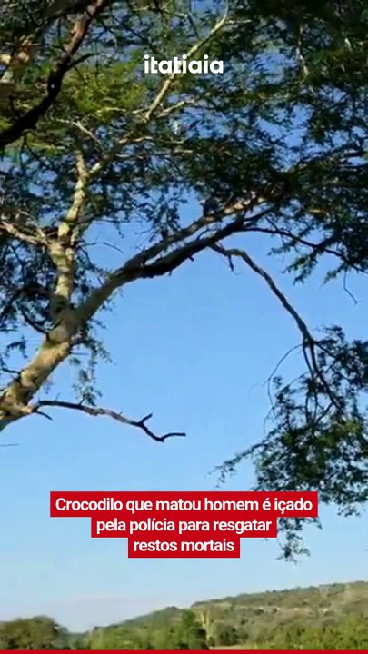 Crocodilo que matou homem é içado pela polícia para resgatar restos mortais; veja vídeo