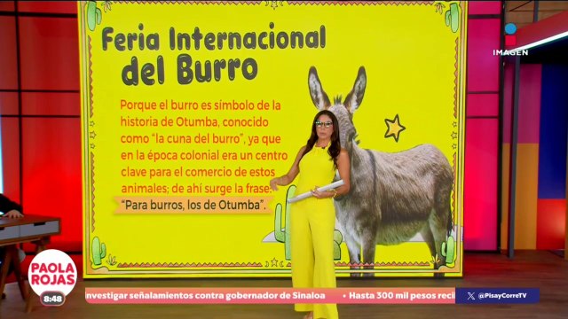 Otumba celebra su famosa Feria Internacional del Burro | DPC con Paola Rojas