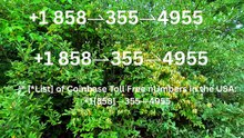 {Coinbase™ Official Support Guide} | 24/7 Live Customer Service & Help Center