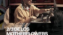 ⅔ de los Motherflowers son ingenieros